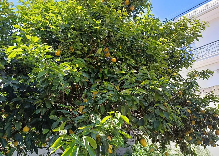 The Lemoni House -skyathos- 1-bedroom Apartman Szkiáthosz